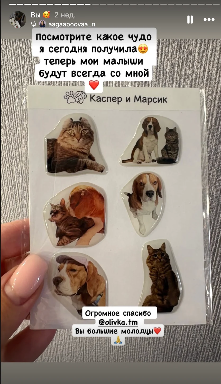 Скриншот отзыва покупателя о стикерах Каспера и Марсика